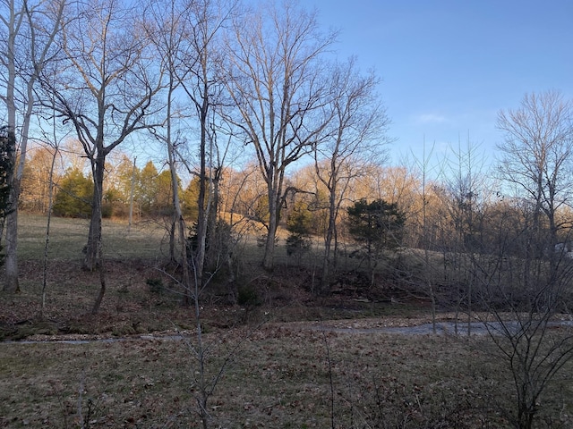 1551 Buck Smith Rd, Palmyra, TN 37142