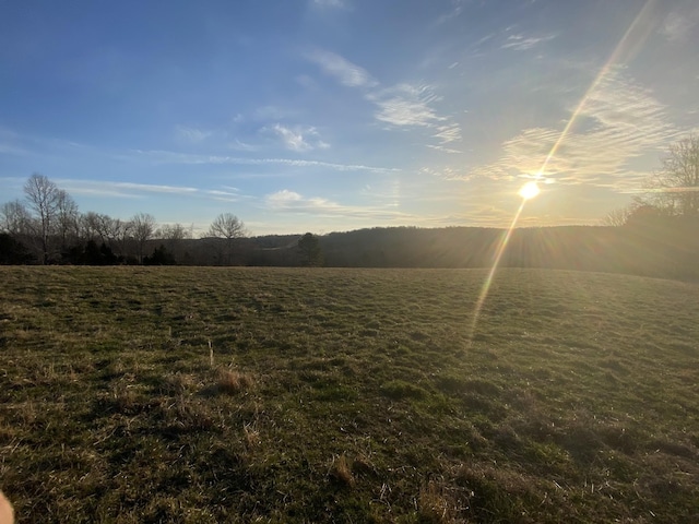 1551 Buck Smith Rd, Palmyra, TN 37142