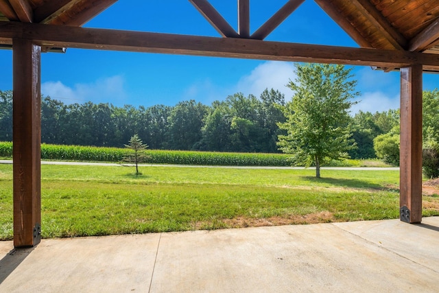 5050 Richards Rd, Cedar Hill, TN 37032 - photo 7