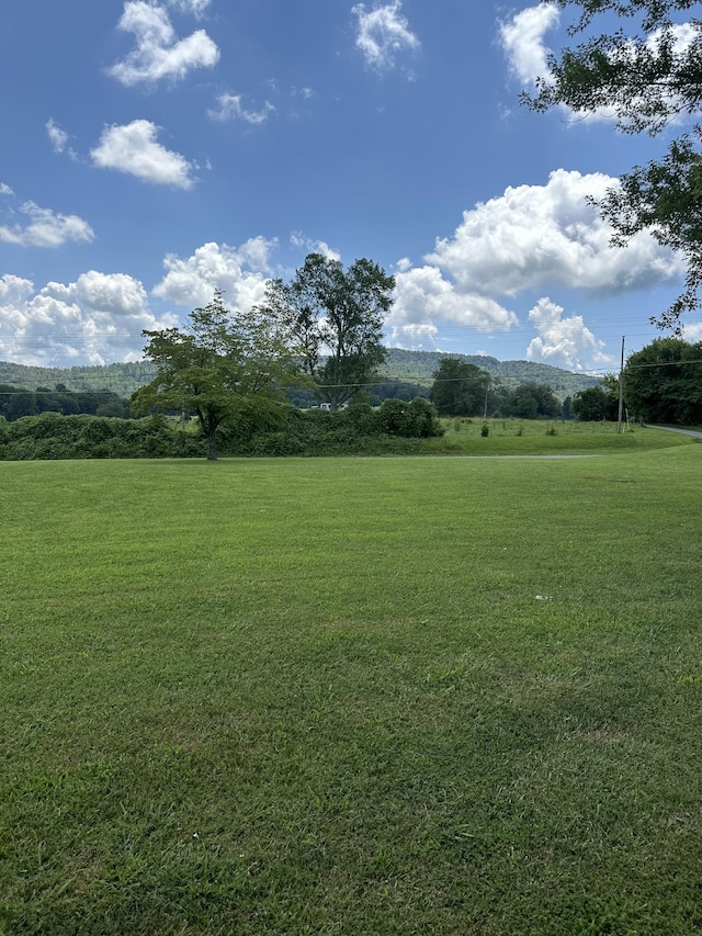 3564 Viola Rd, Mcminnville, TN 37110 - photo 92