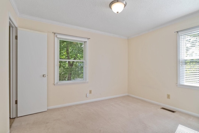 435 Forest St, Lewisburg, TN 37091 - carpeted spare room featuring a textured ceiling and ornamental molding