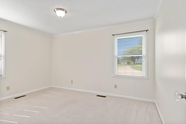 435 Forest St, Lewisburg, TN 37091 - unfurnished room featuring crown molding and carpet floors