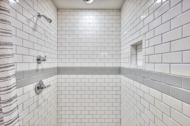 1059 S Cross Bridges Rd, Mount Pleasant, TN 38474 - bathroom with a tile shower