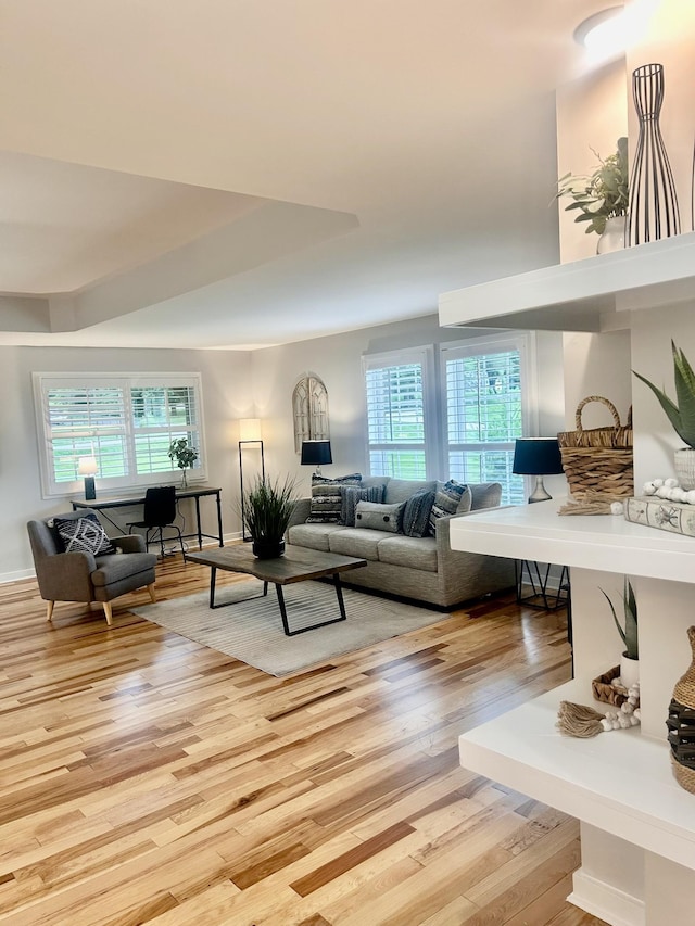 1059 S Cross Bridges Rd, Mount Pleasant, TN 38474 - living room with light wood finished floors