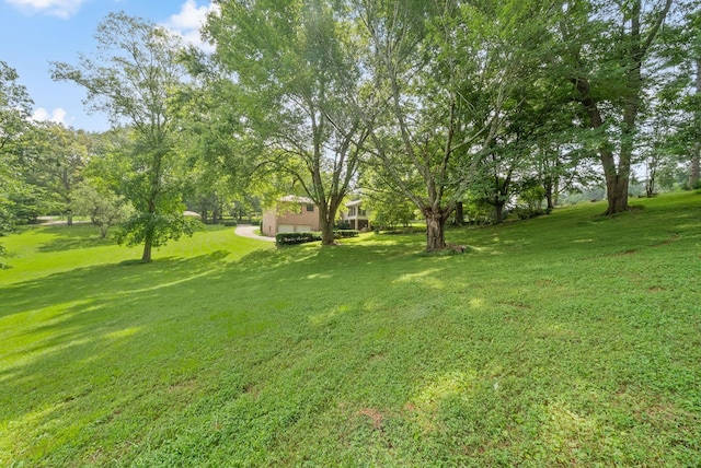 124 Ussery Rd, Clarksville, TN 37043 - photo 58