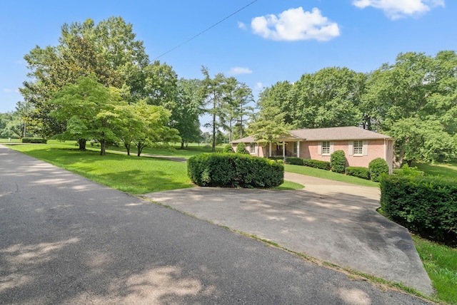 124 Ussery Rd, Clarksville, TN 37043 - photo 5