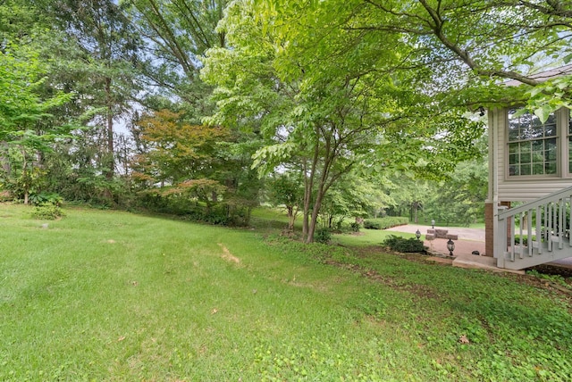 124 Ussery Rd, Clarksville, TN 37043 - photo 57