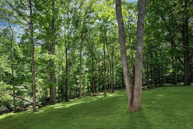 766 Billy Wynn Rd, Dickson, TN 37055 - view of grassy yard