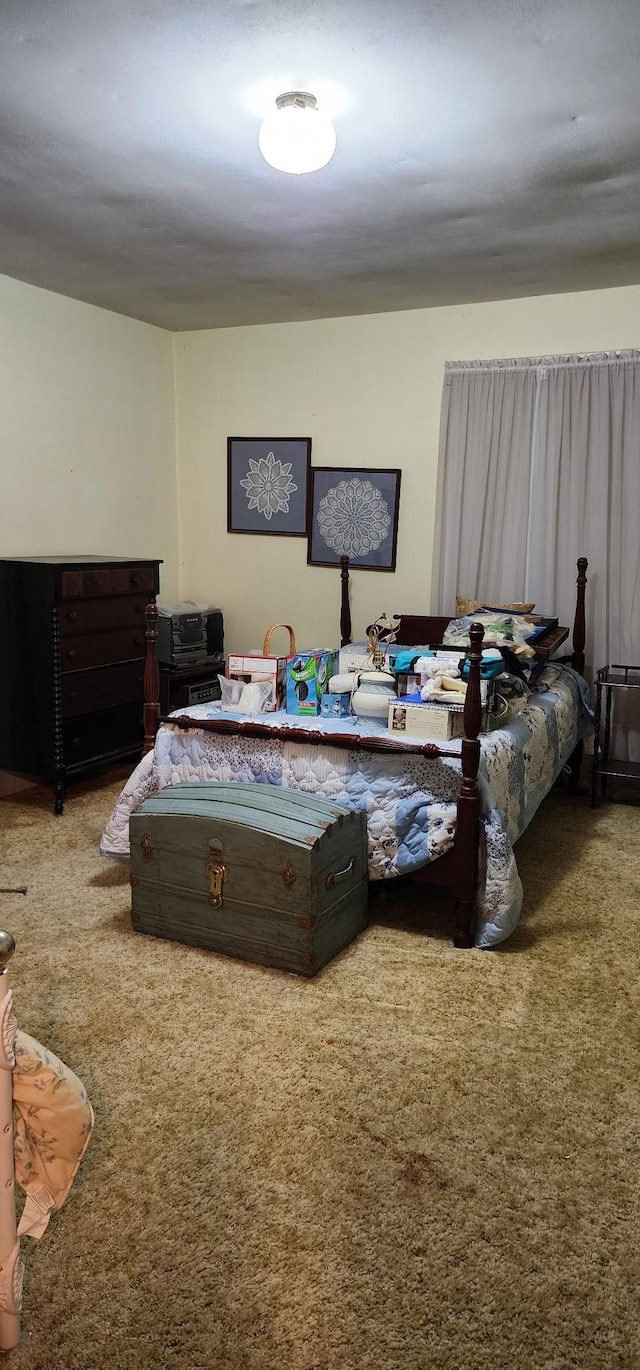 704 Main St N, Carthage, TN 37030 - view of carpeted bedroom