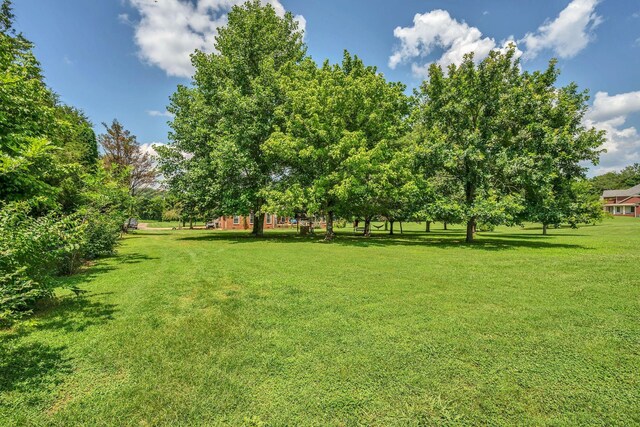 3287 Blazer Rd, Franklin, TN 37064 - photo 51