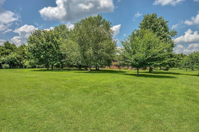 3287 Blazer Rd, Franklin, TN 37064 - photo 34