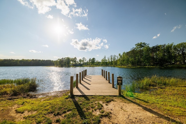 51 Acorn Cv, Tracy City, TN 37387 - photo 53