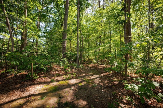 51 Acorn Cv, Tracy City, TN 37387 - photo 58