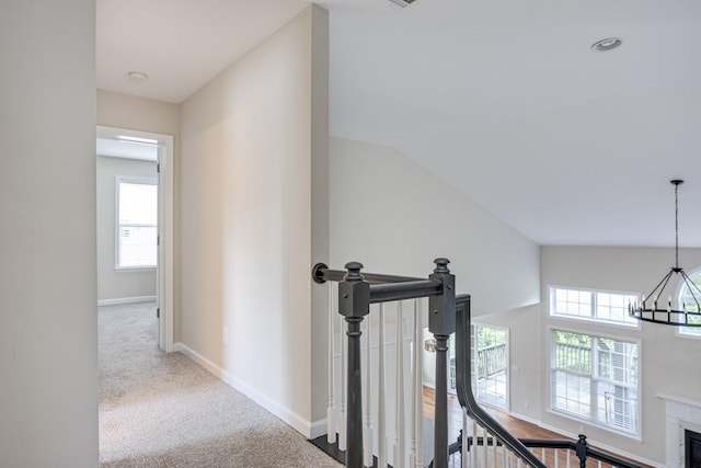 7333 River Bend Rd, Nashville, TN 37221 - photo 24
