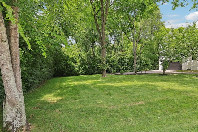 3600 Colewood Dr, Nashville, TN 37215 - view of grassy yard