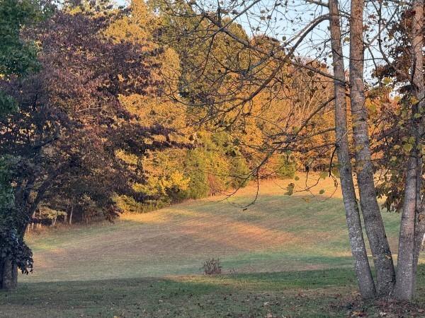 927 Bond Rd, Duck River, TN 38454 - photo 37