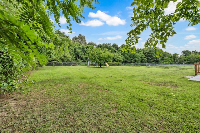 261 Golden Pond Ave, Oak Grove, KY 42262 - view of yard
