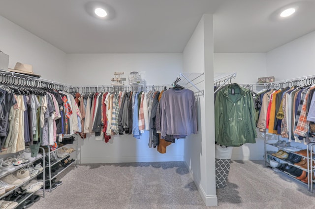2064 Hedgelawn Dr, Lebanon, TN 37090 - spacious closet with carpet floors