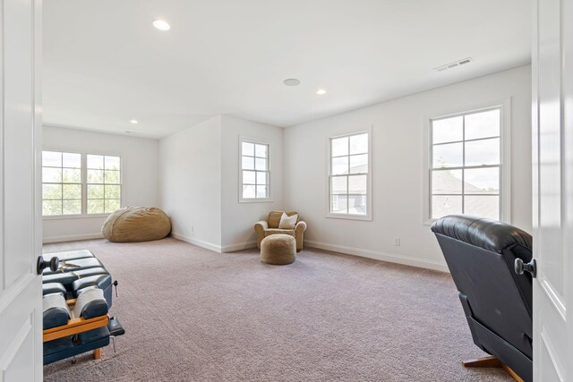 1402 Newhaven Dr, Brentwood, TN 37027 - photo 41