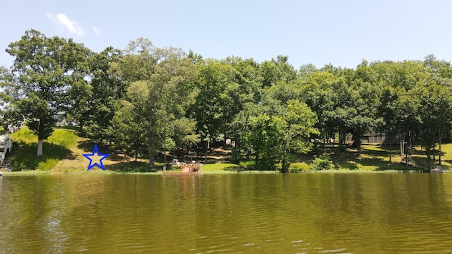 0 Jeff Davis Dr, Eva, TN 38333 - photo 2