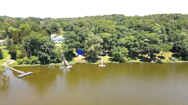 0 Jeff Davis Dr, Eva, TN 38333 - photo 3
