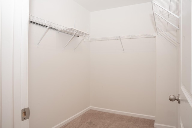 122 David Bolin Dr, La Vergne, TN 37086 - photo 33