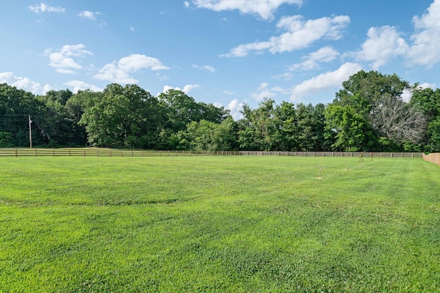 8936 Cedar Grove Rd, Cross Plains, TN 37049 - photo 25