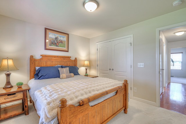 1005 Lark Ct, Spring Hill, TN 37174 - bedroom with a closet and light carpet