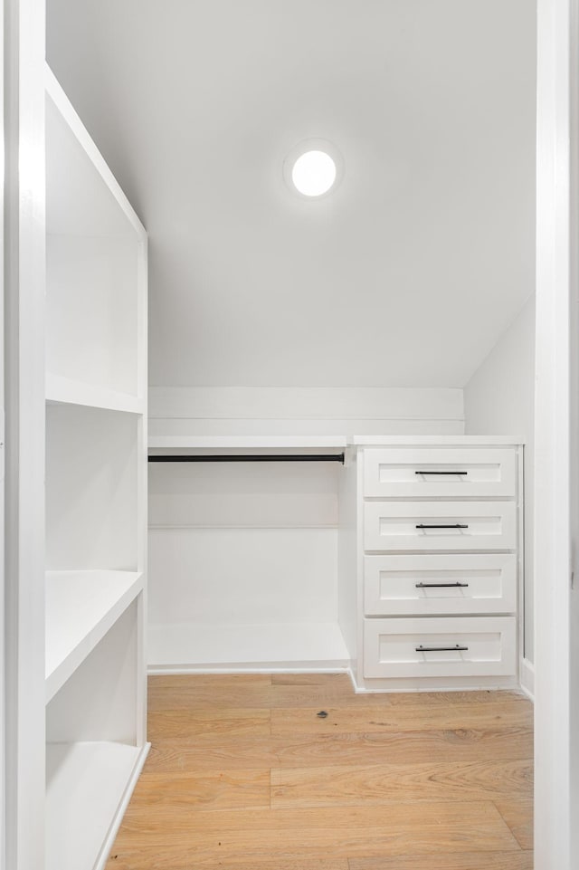 310 E Highland Dr, Columbia, TN 38401 - walk in closet with light wood-style floors