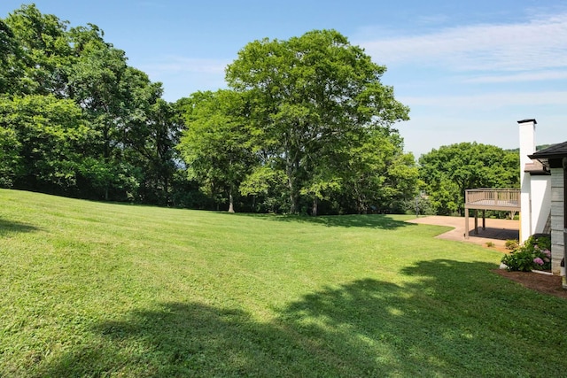 1230 Carl Seyfert Memorial Dr, Brentwood, TN 37027 - photo 72
