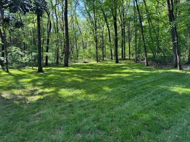 138 Laural Hill Dr, Smyrna, TN 37167 - photo 20