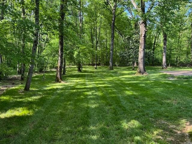 138 Laural Hill Dr, Smyrna, TN 37167 - photo 19