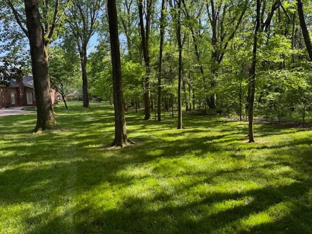 138 Laural Hill Dr, Smyrna, TN 37167 - photo 21