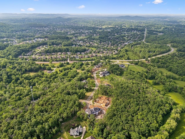 1706 Reflection Ln, Brentwood, TN 37027 - view of property location with a forest