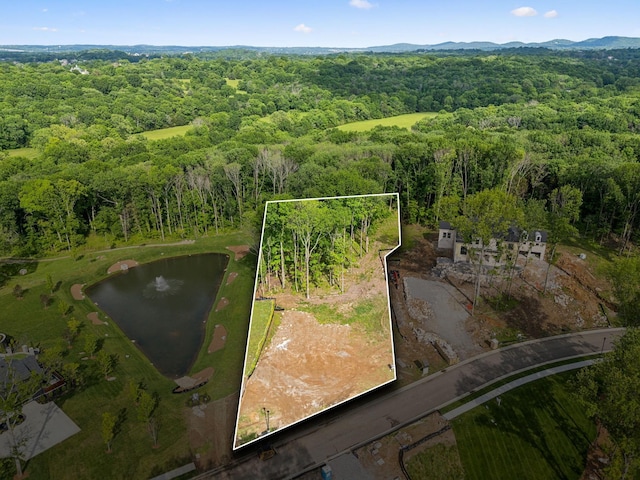 1706 Reflection Ln, Brentwood, TN 37027 - aerial overview of property's location with property parcel outlined and a large body of water