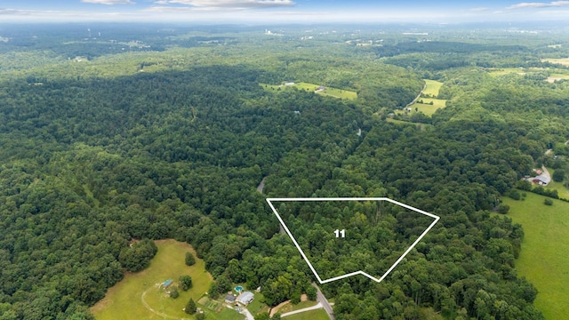 0 Furnace Hollow Rd, Dickson, TN 37055 - photo 3
