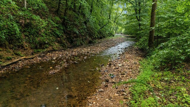 0 Furnace Hollow Rd, Dickson, TN 37055 - photo 11