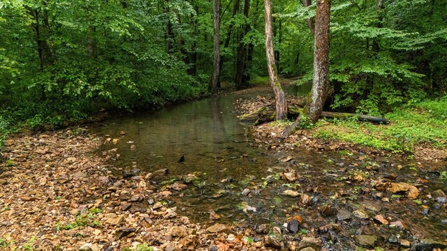 0 Furnace Hollow Rd, Dickson, TN 37055 - photo 9