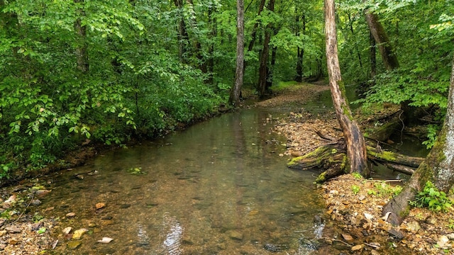 0 Furnace Hollow Rd, Dickson, TN 37055 - photo 1