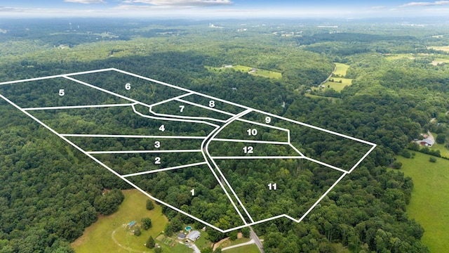 0 Furnace Hollow Rd, Dickson, TN 37055 - photo 4