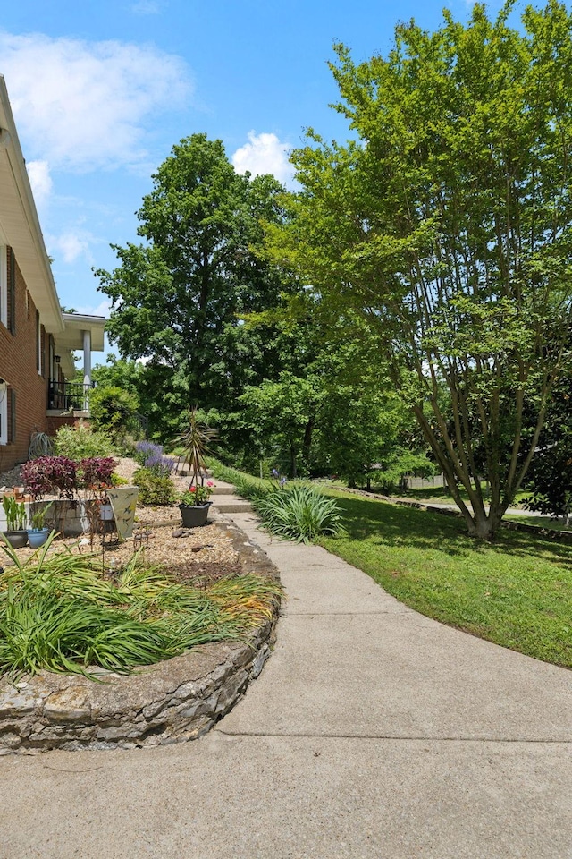 1148 Green Valley Dr, Lewisburg, TN 37091 - view of community with a lawn