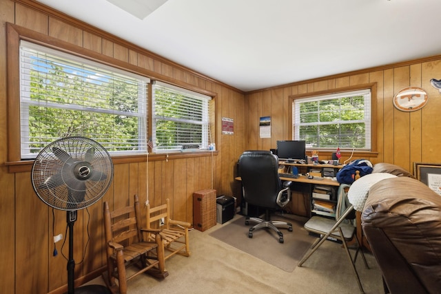 1148 Green Valley Dr, Lewisburg, TN 37091 - home office featuring carpet and wooden walls