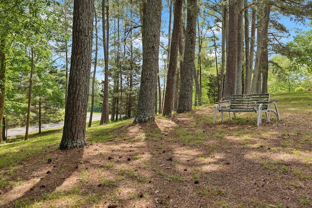 1148 Green Valley Dr, Lewisburg, TN 37091 - view of yard