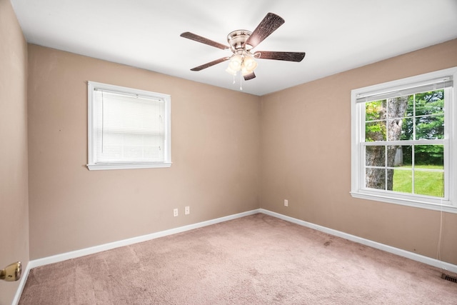 213 Hamlett Dr, White House, TN 37188 - photo 14