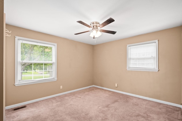 213 Hamlett Dr, White House, TN 37188 - photo 12