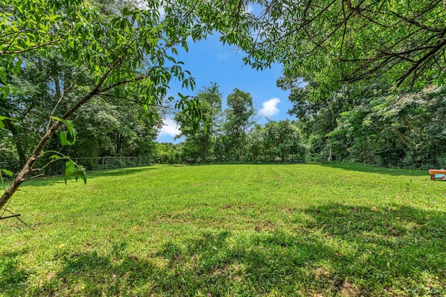 1530 Potter Dr, Columbia, TN 38401 - view of green lawn