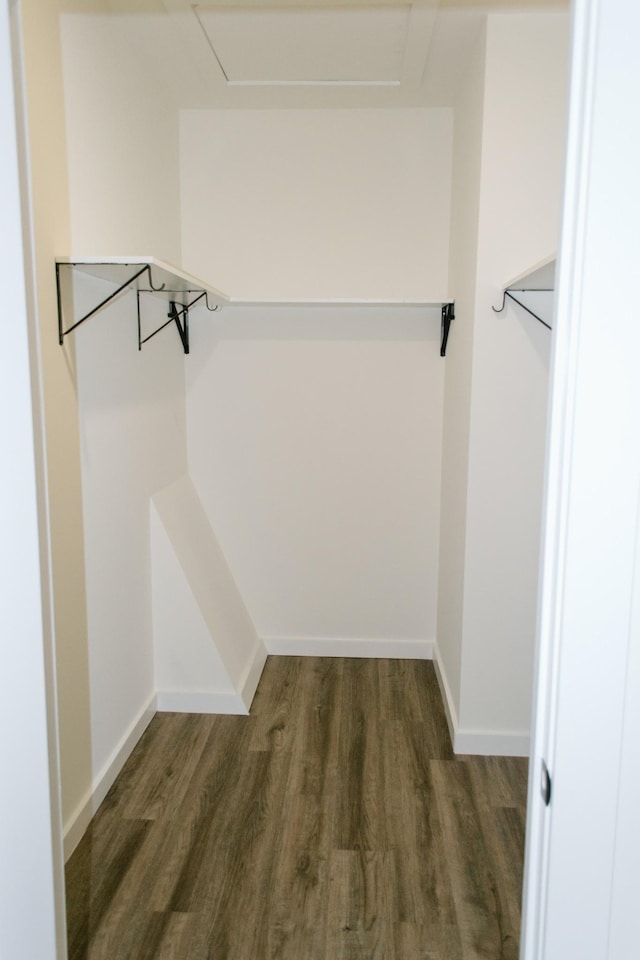 3119 Country Side Dr, Centerville, TN 37033 - spacious closet featuring wood finished floors