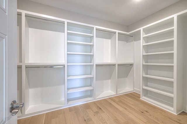 4113 Cile Ct, Murfreesboro, TN 37127 - spacious closet with light wood-style flooring