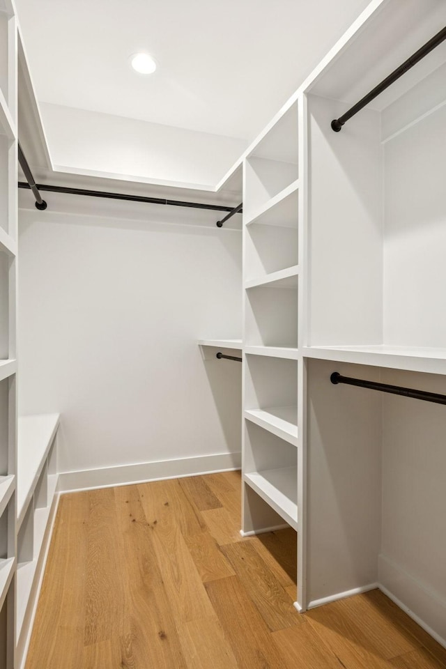 1007 Pheasant Ct, Kingston Springs, TN 37082 - spacious closet featuring light wood finished floors