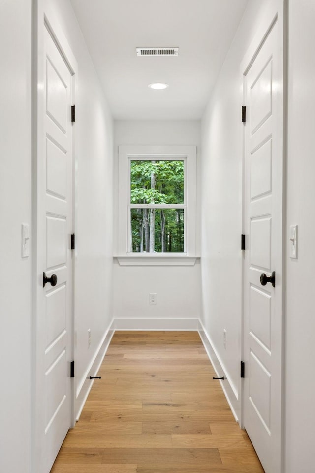 1007 Pheasant Ct, Kingston Springs, TN 37082 - hallway with light wood finished floors